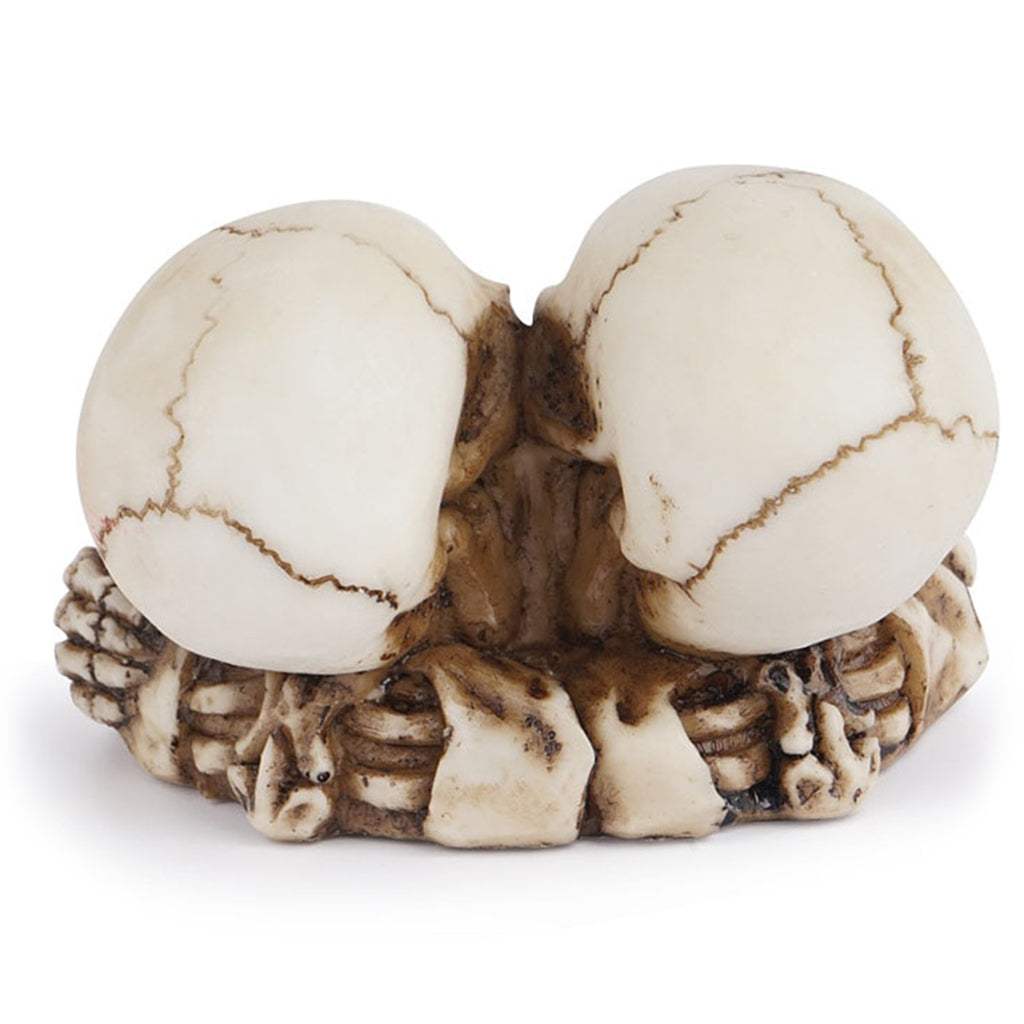 Askkopp Med Kära Skelett