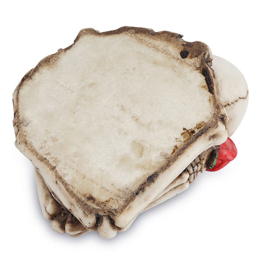 Askfat Med Två Skelett