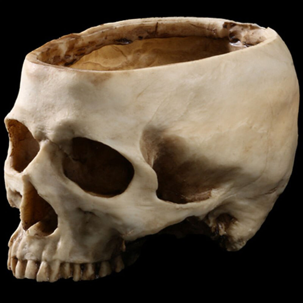 Blomkruka Med Dödskalle