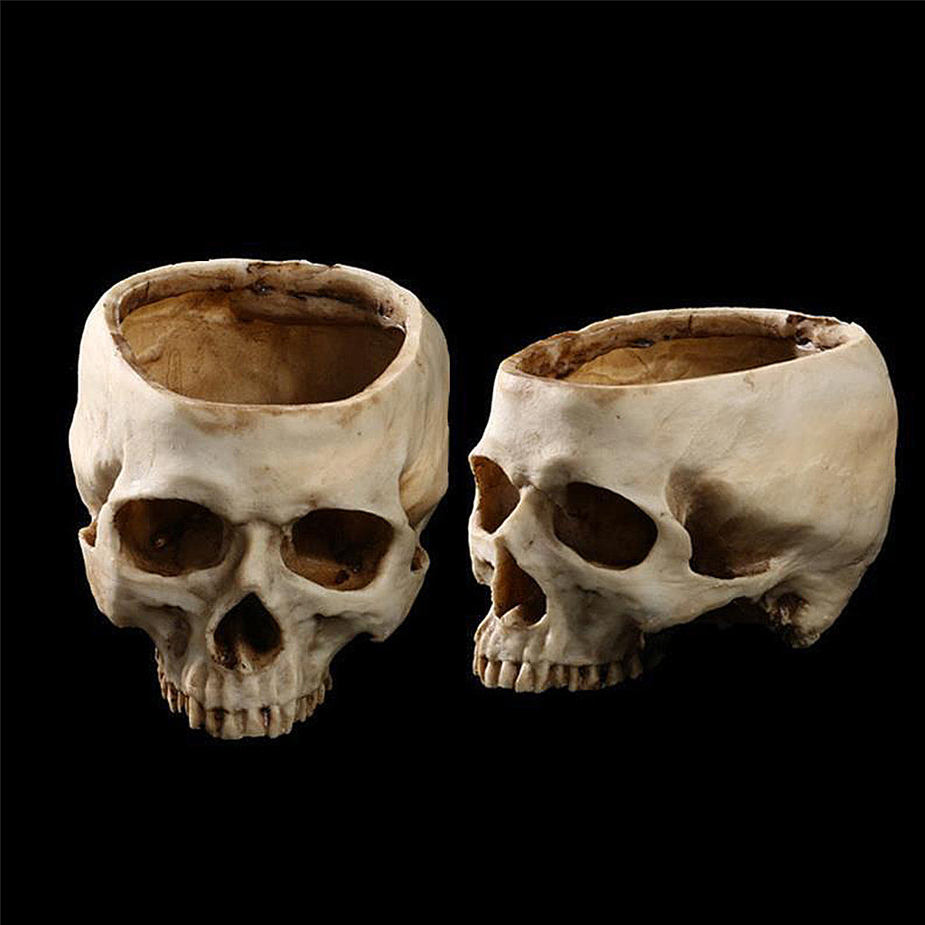 Blomkruka Realistisk Dödskalle