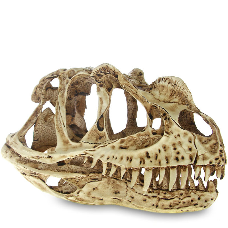 Dinosaur Dödskalle Dekoration