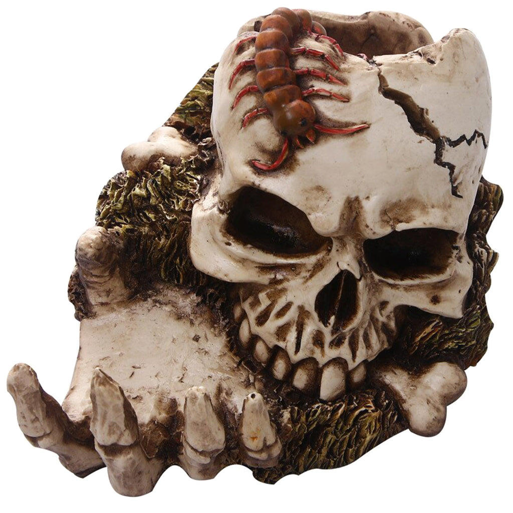 Dödskalle Med Skeletthand Dekoration