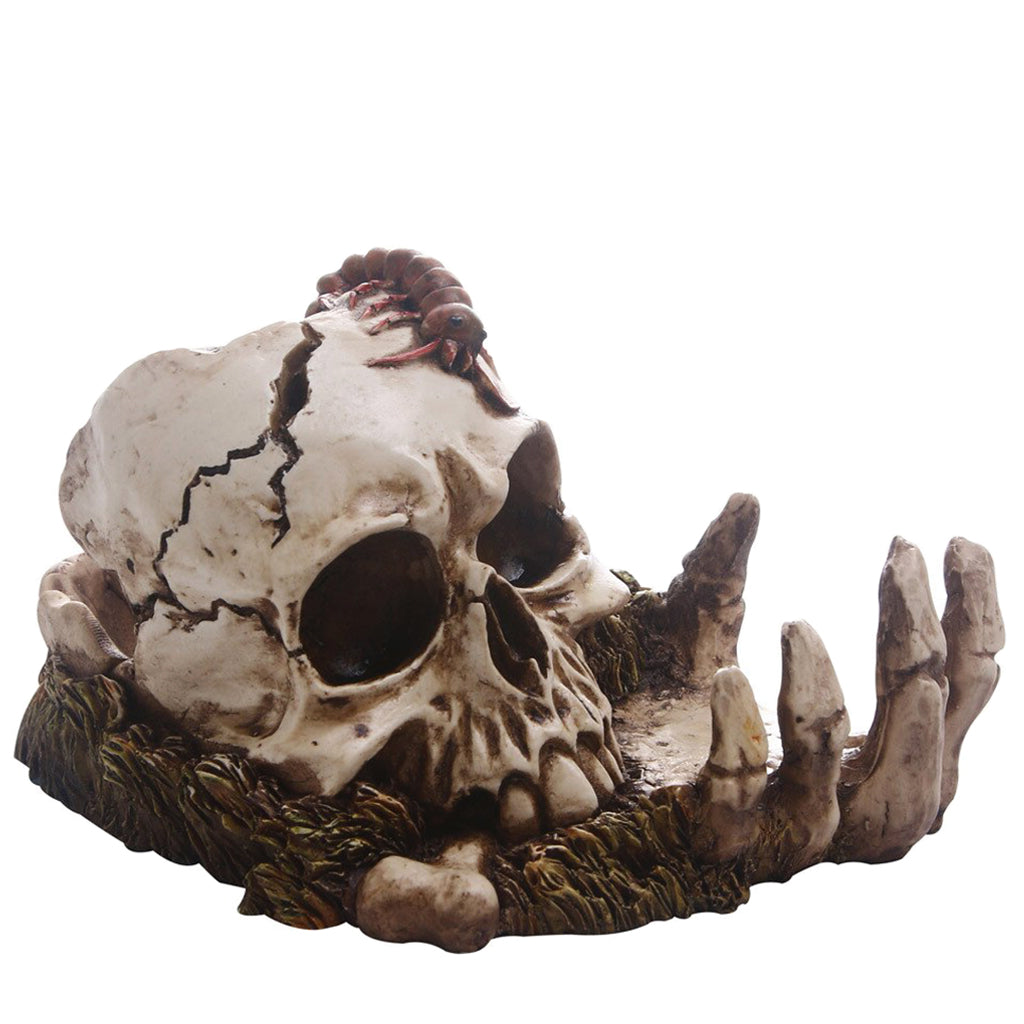 Prydnad Dödskalle I Skeletthand