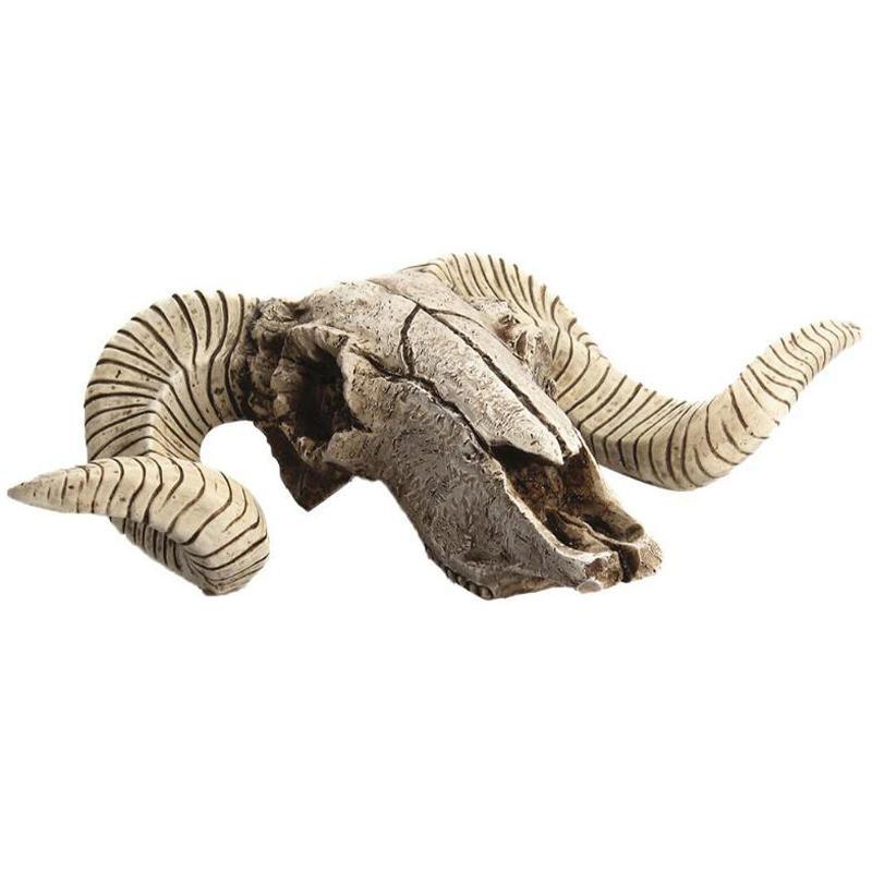 Fårkranium Polyresin