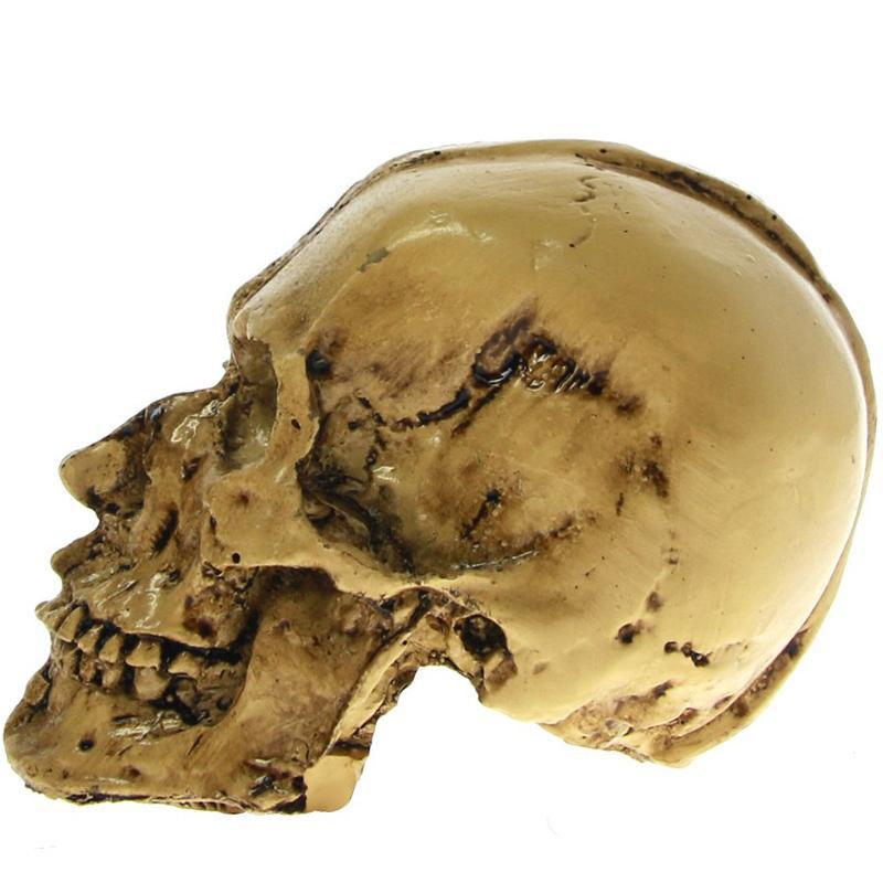 Rutten Dödskalle Dekoration