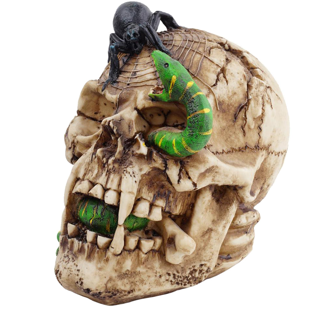 Prydnad Dödskalle Med Spindel