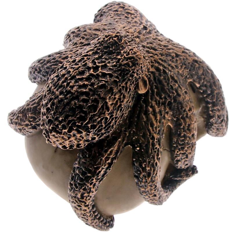 Dekorativ Dödskalle Calamares