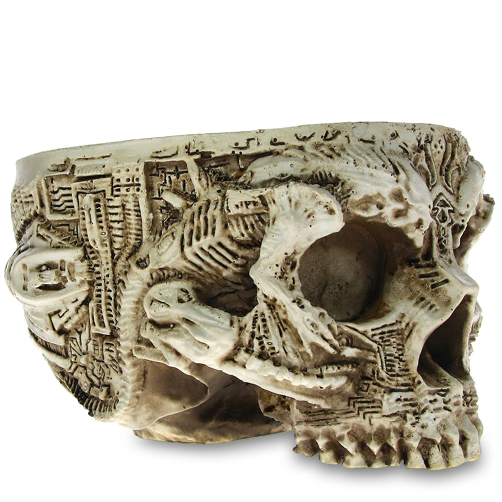 Dekorativ Dödskalle Skål