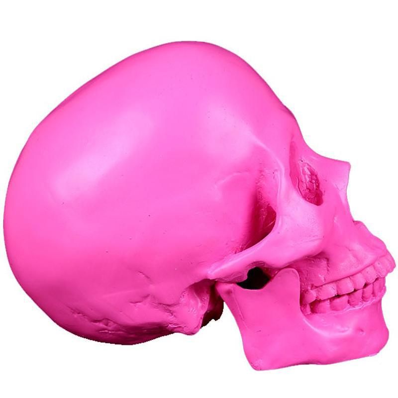 Dekorativ Dödskalle Ljusröd