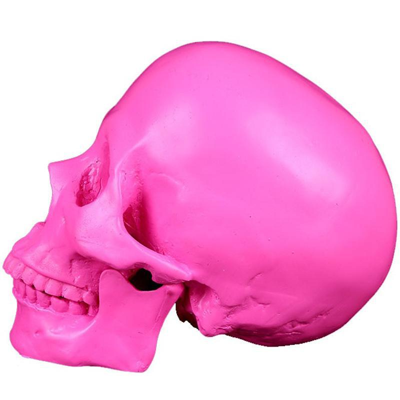 Rosa Skalle Inredning