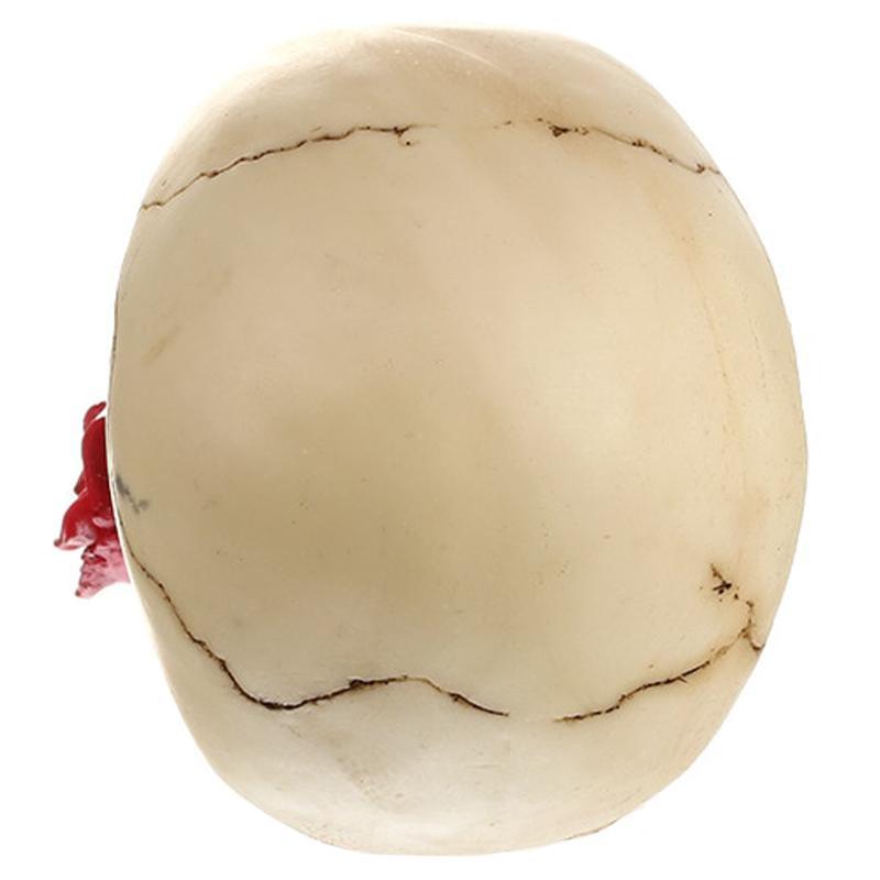 Dödskalle Figur Ros