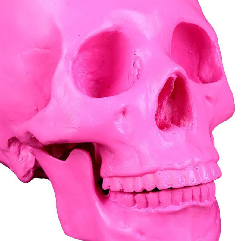 Skär Dödskalle Staty