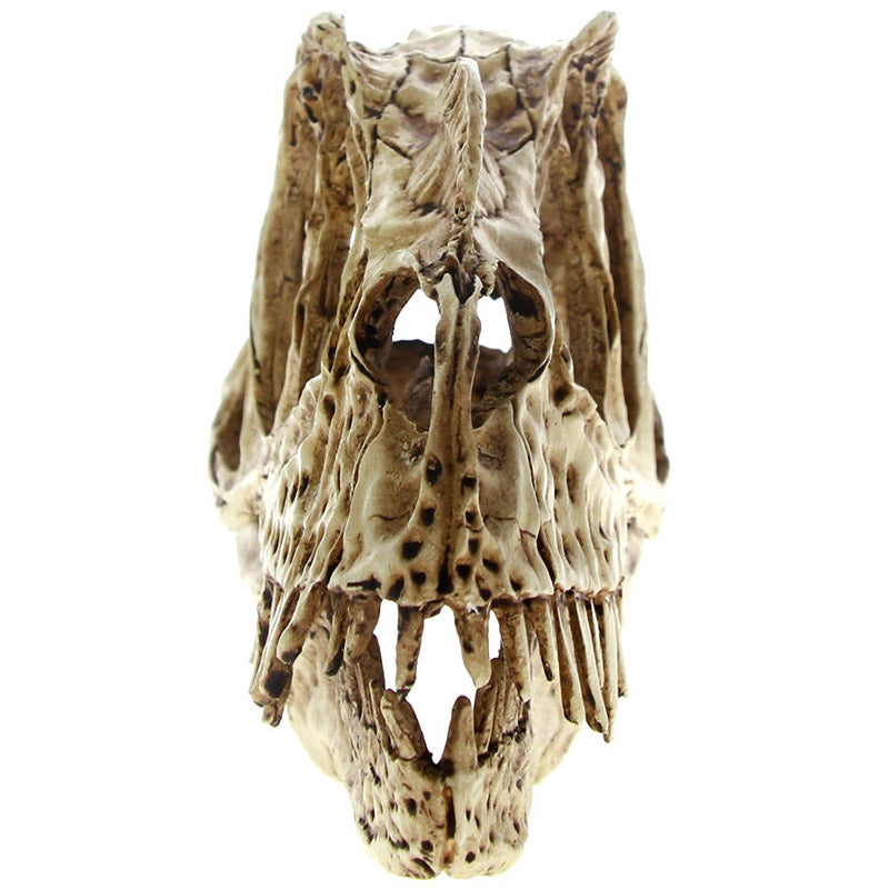 Ceratosaurus Prydnad