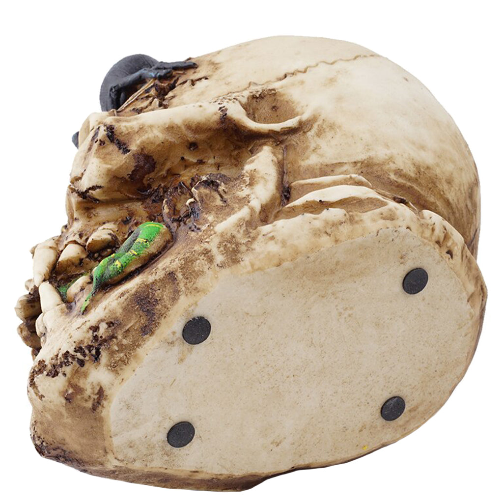 Prydnad Dödskalle Med Reptil