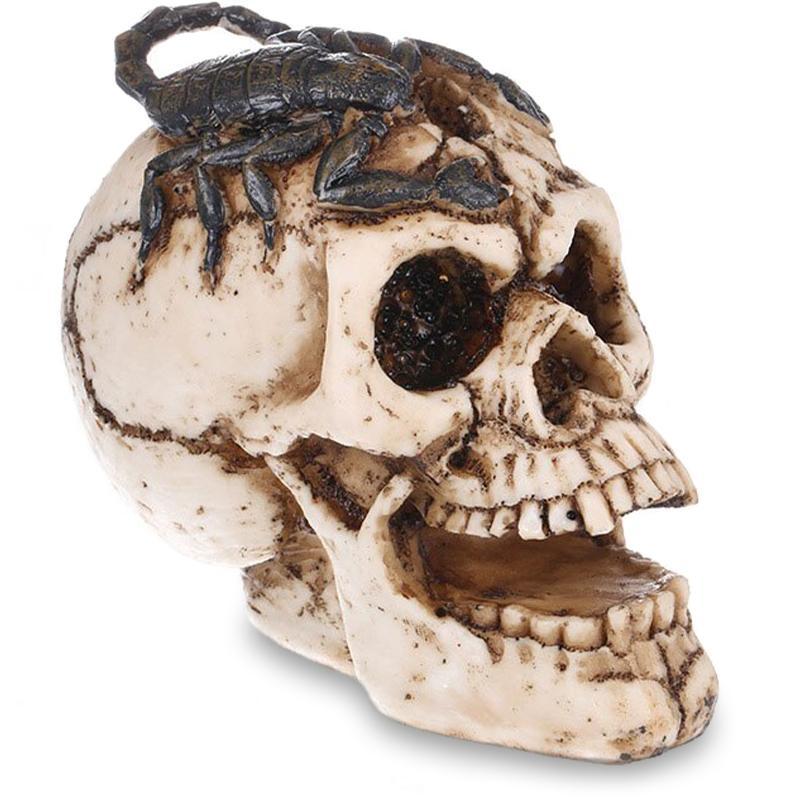 Dödskalle Dekoration Skorpion