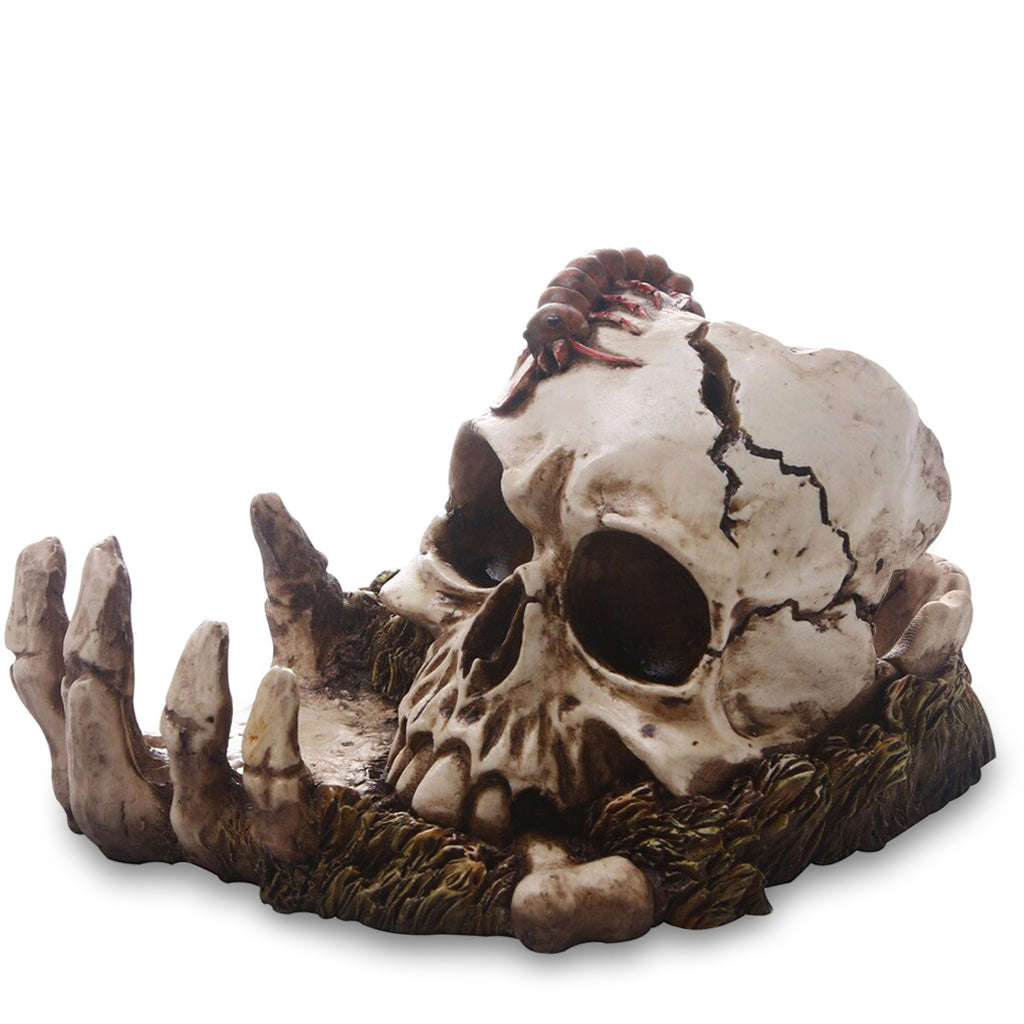 Dödskalle Hand Dekoration