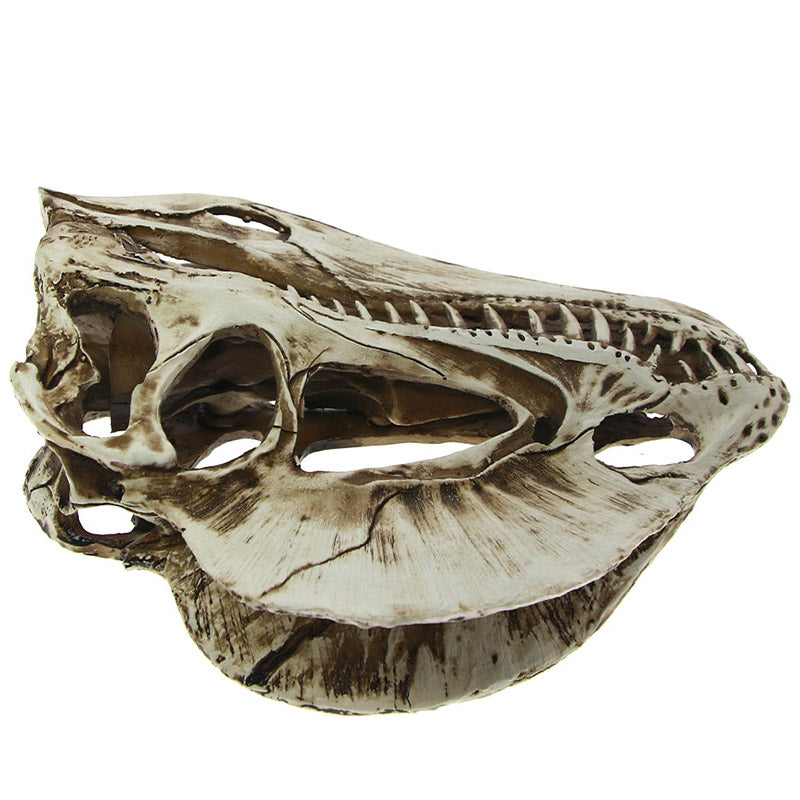 Inredning Reptil Dödskalle