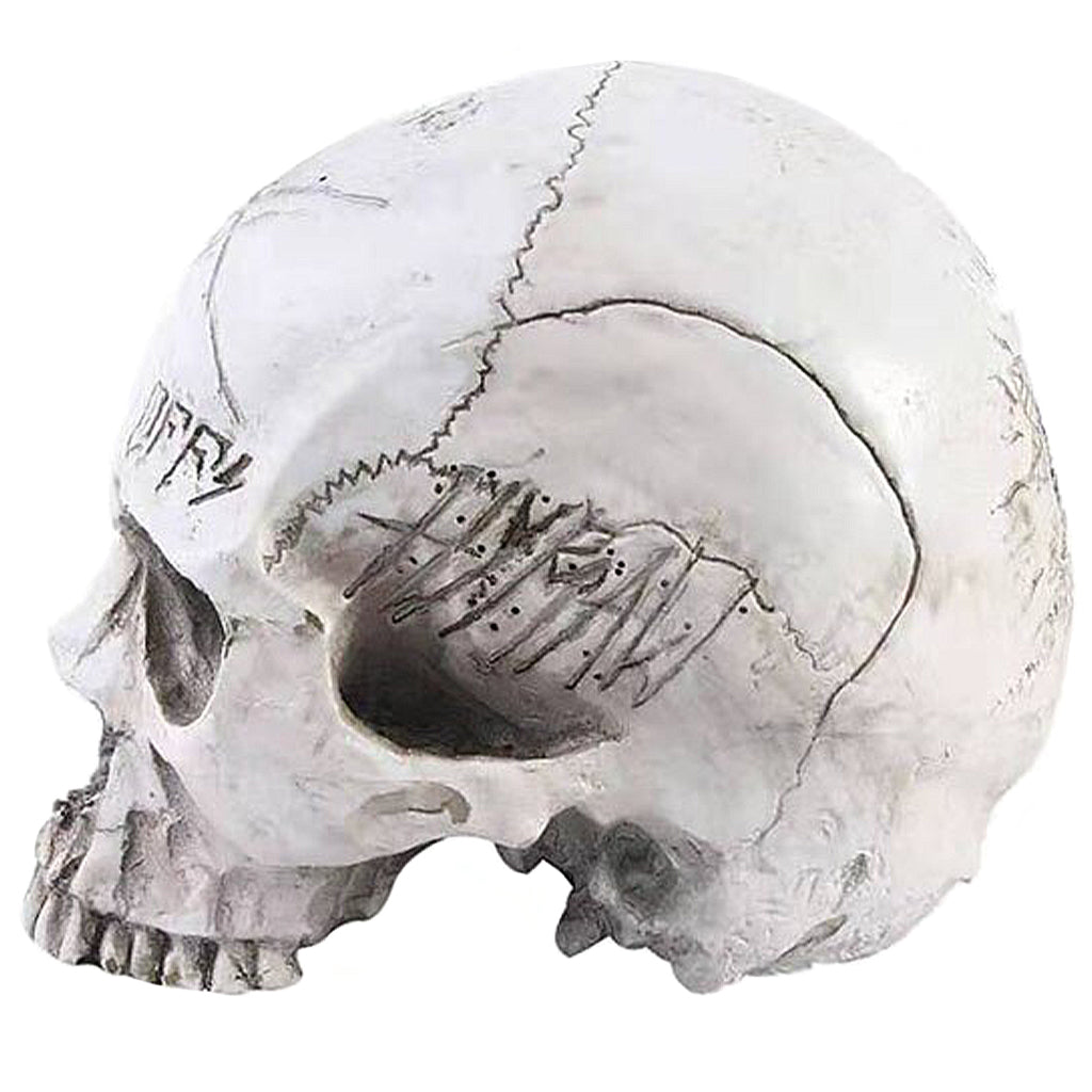 Dödskalle Staty Fuck Off