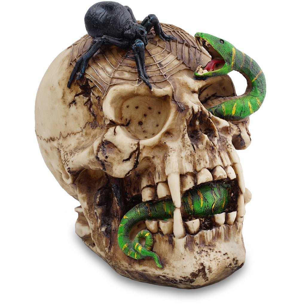 Dödskalle Prydnad Med Orm