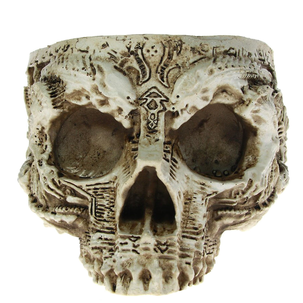 Dödskalle Skål