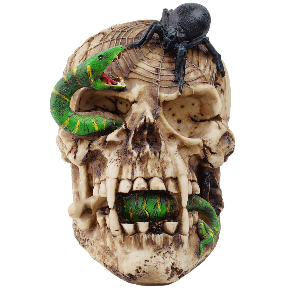 Dödskalle Prydnad Med Spindel