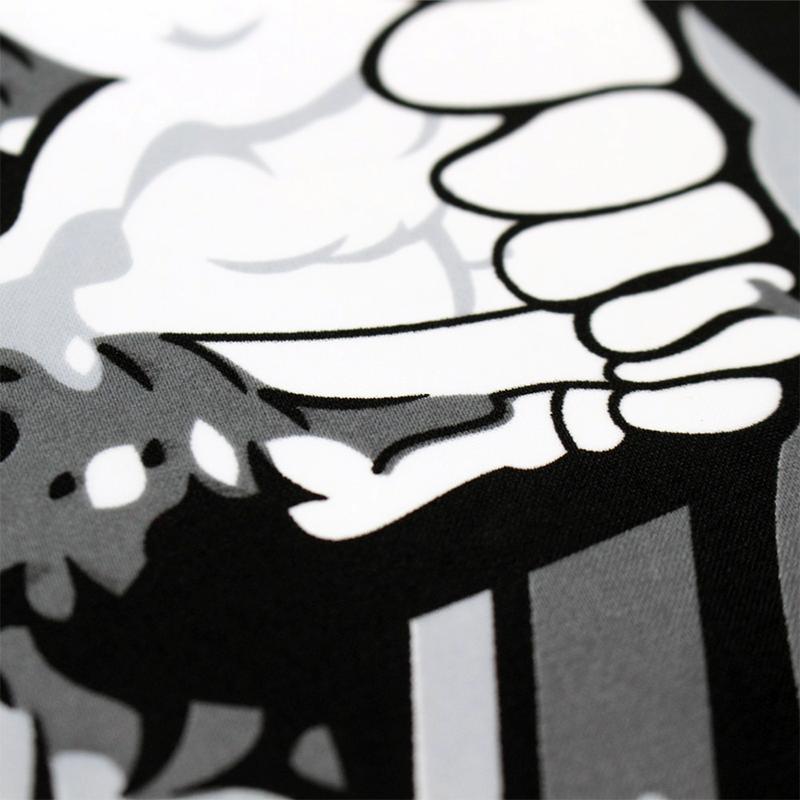 Flagga Homeland Security