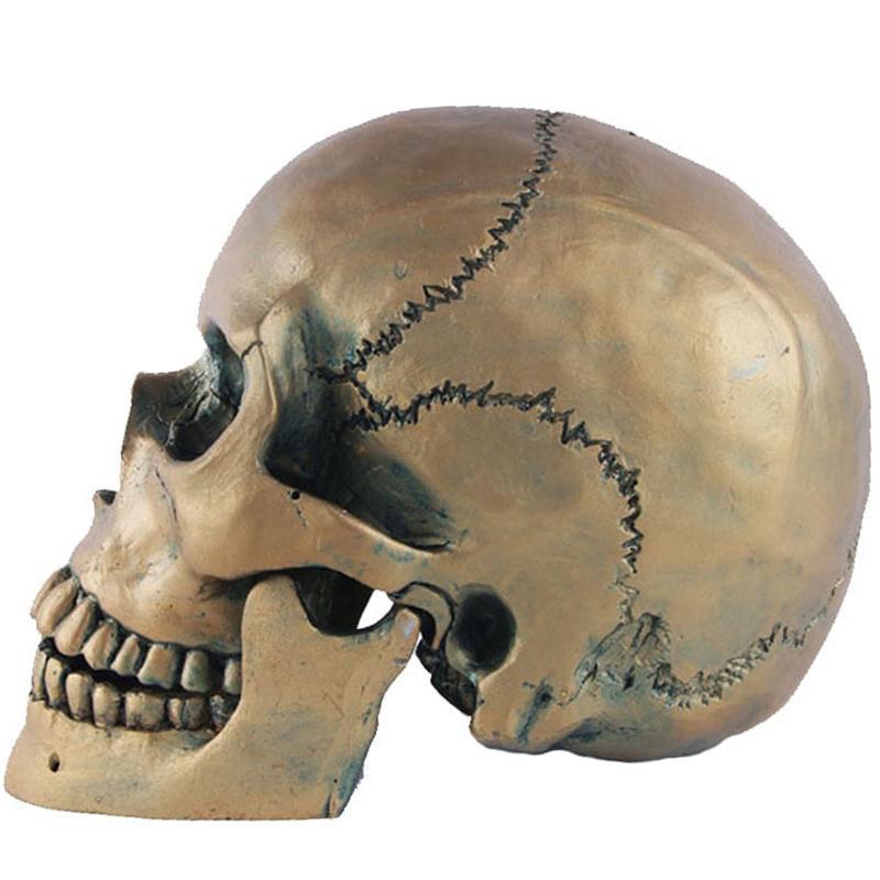 Guldfärgad Dödskalle Staty