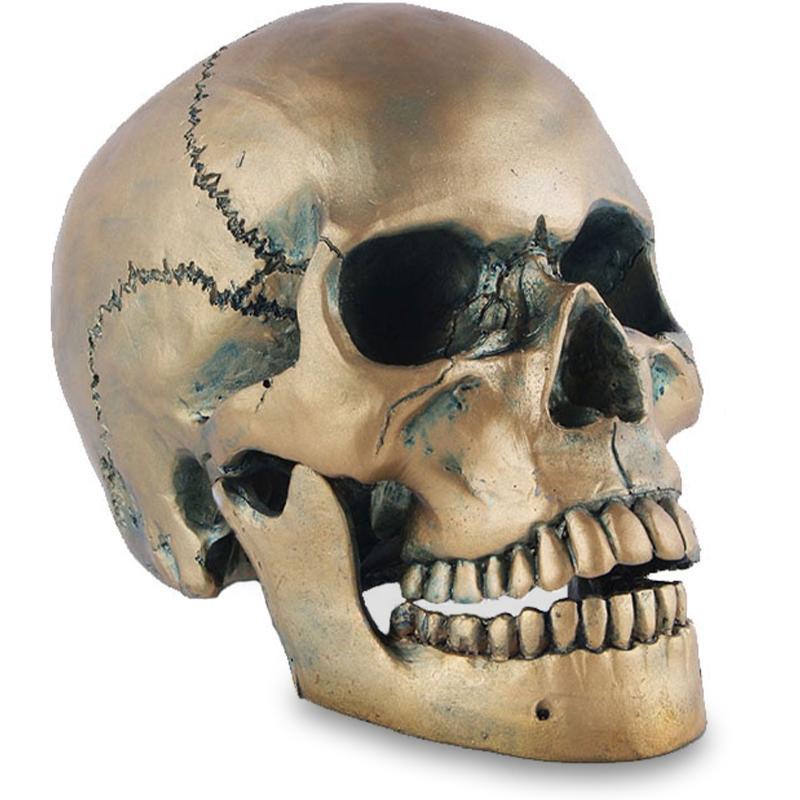 Guldfärgad Dödskalle Dekoration