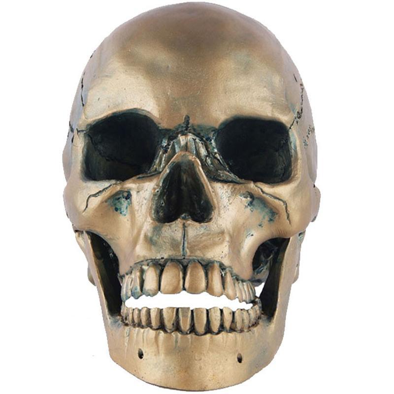 Guldfärgad Dödskalle Prydnad