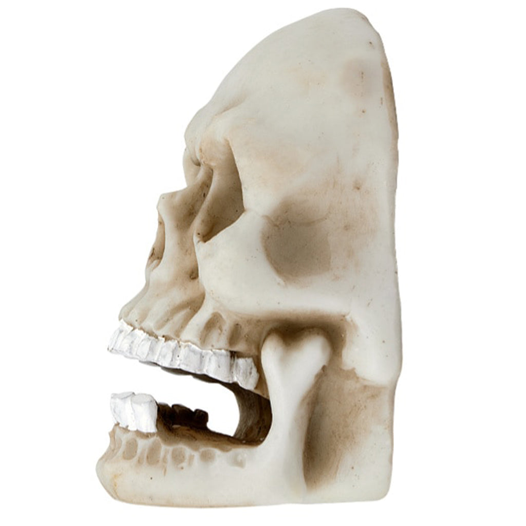 Dödskalle Badrumskrok