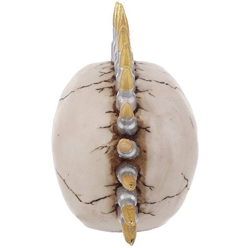 Dödskalle Inredning Patron Tuppkam