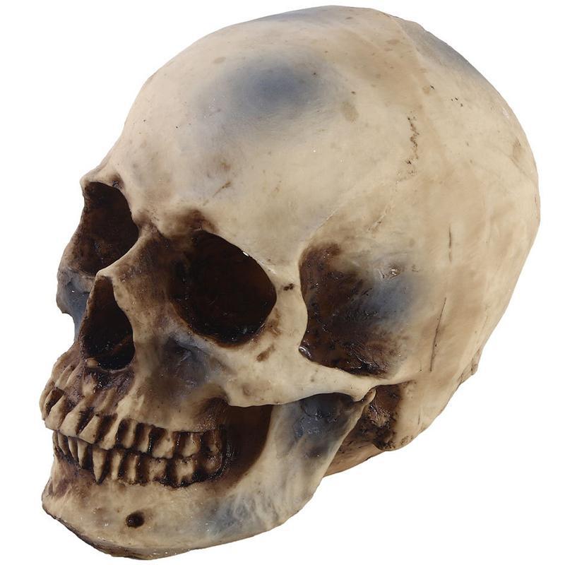 Skalenlig Dödskalle Prydnad