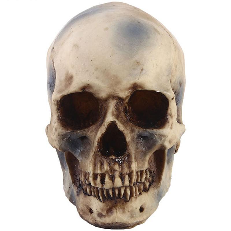 Klassisk Dödskalle Inredning