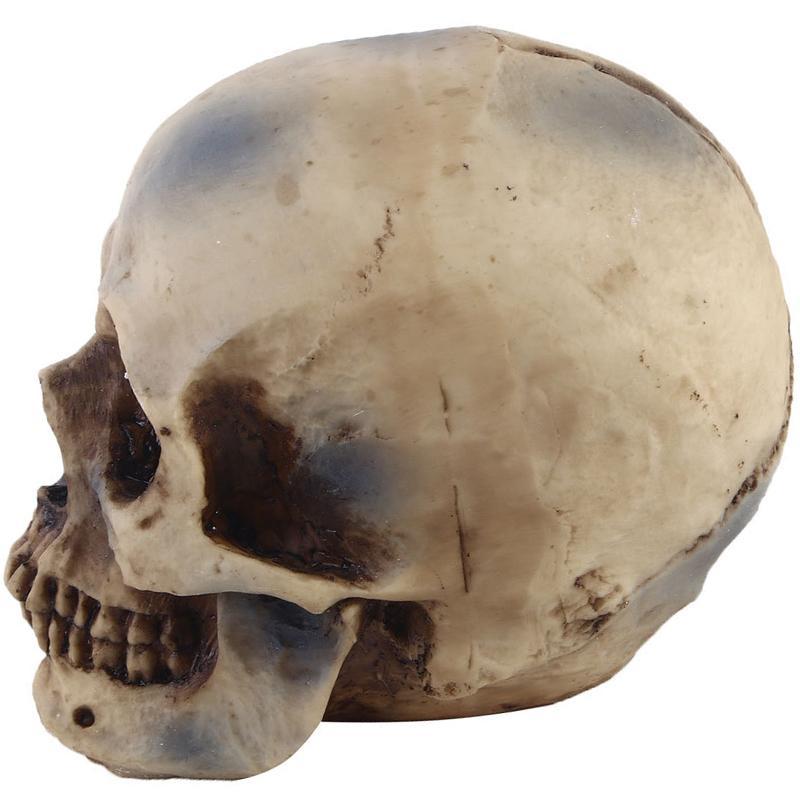 Klassisk Dödskalle Prydnad