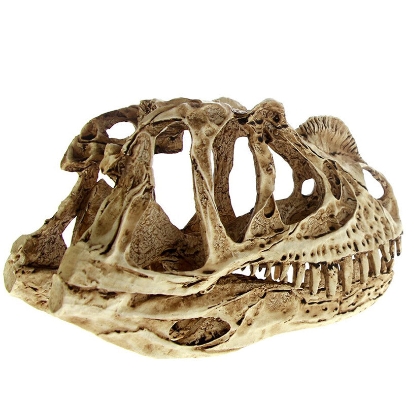 Dekorativ Ceratosaurus Dödskalle