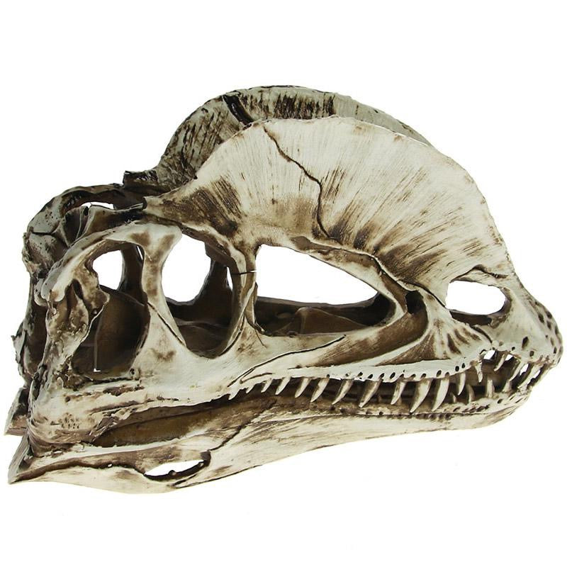 Dödskalle Prydnad Skräcködla