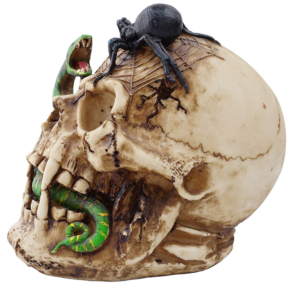 Dödskalle Dekoration Med Orm
