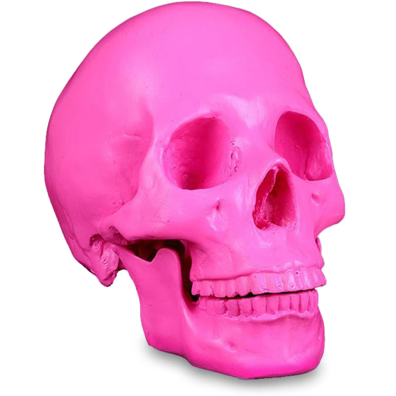 Rosa Dödskalle Dekoration