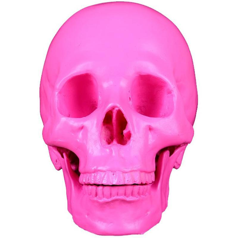 Rosa Dödskalle Prydnad