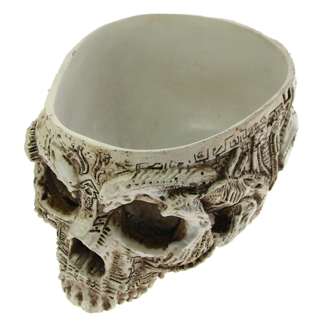 Skål Formad Som Dödskalle