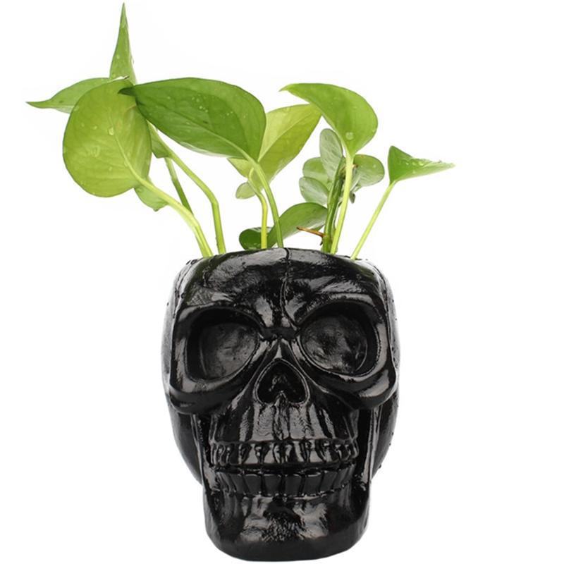 Dödskalle Blomkruka