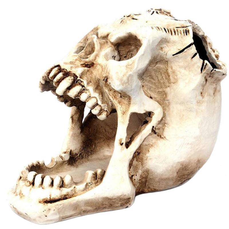 Skrivbordsställ Dödskalle