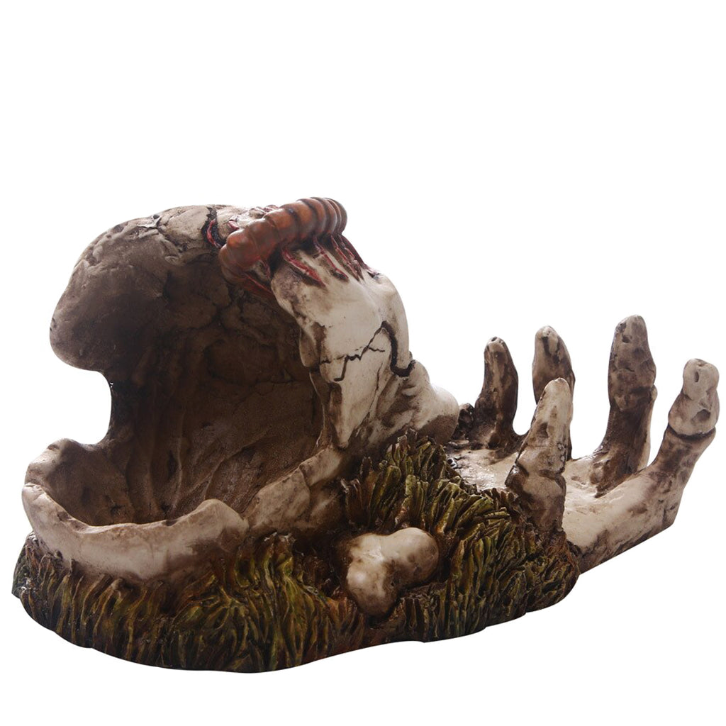 Dödskalle Med Hand Staty