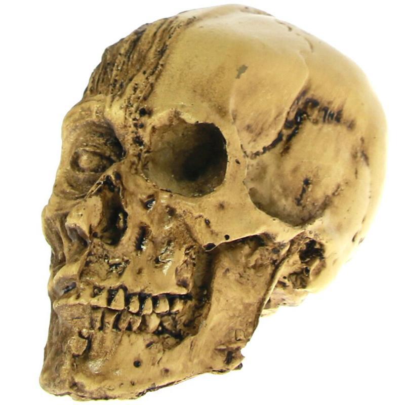 Halv Dödskalle Staty