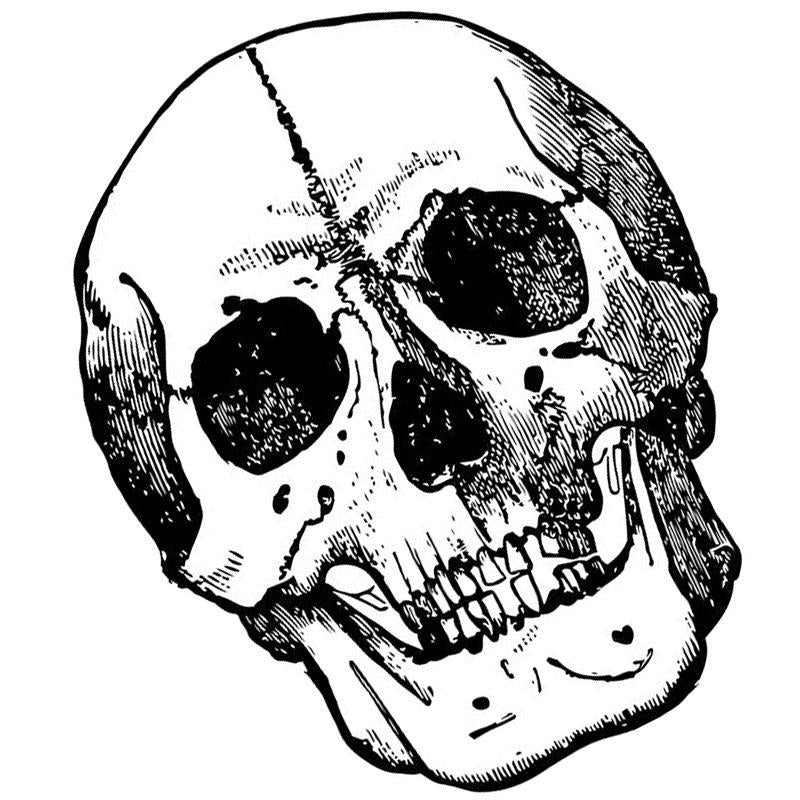 Dekal Verklig Dödskalle