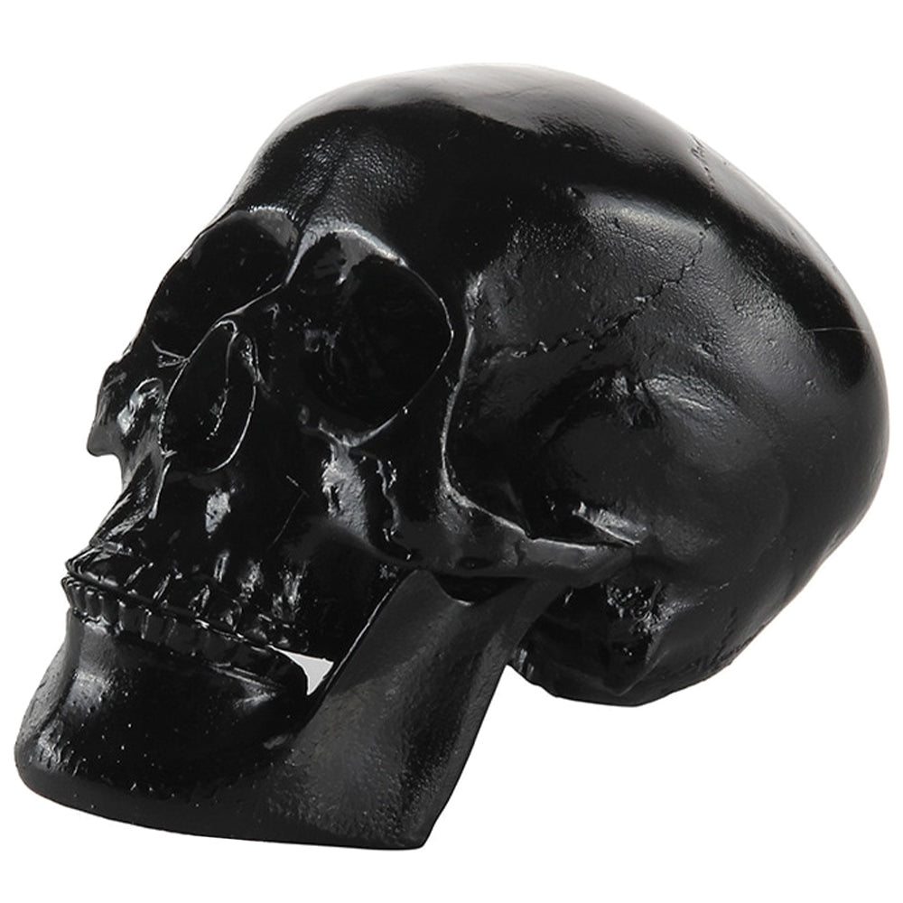 Svart Kranium För Heminredning