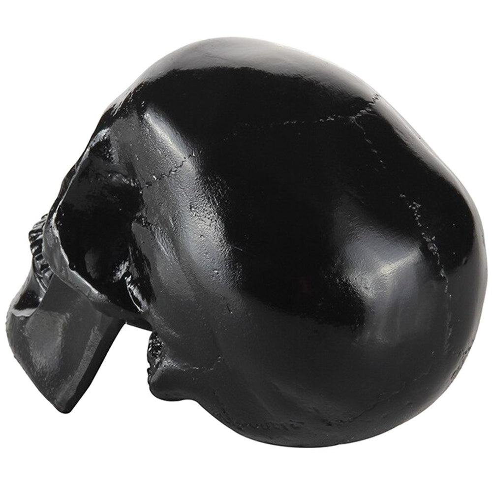 Svart Dekorativ Dödskalle