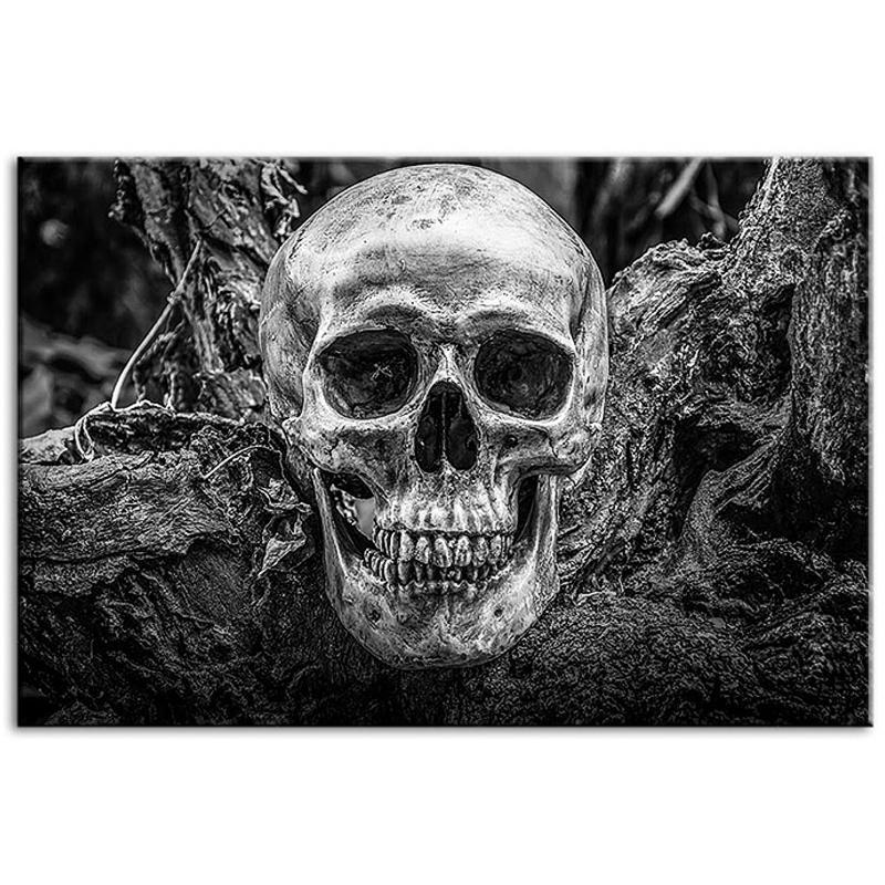 Tavla Dödskalle I Naturen