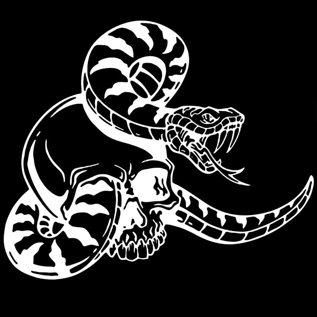 Vinyl Dödskalle Orm