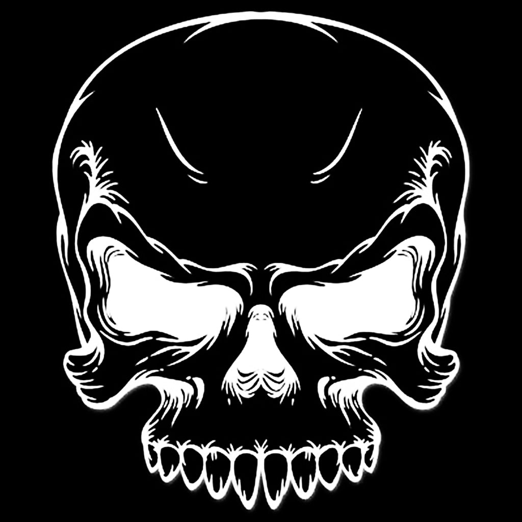 Vit Dödskalle Dekal Bil